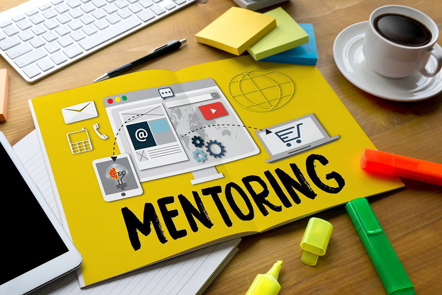 How to Work With Mentor