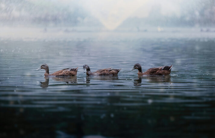 Building tomorrow’s leaders today