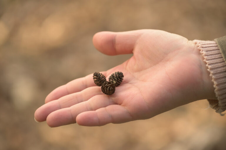 Eric Zimmer on How Small Choices Change Your Life